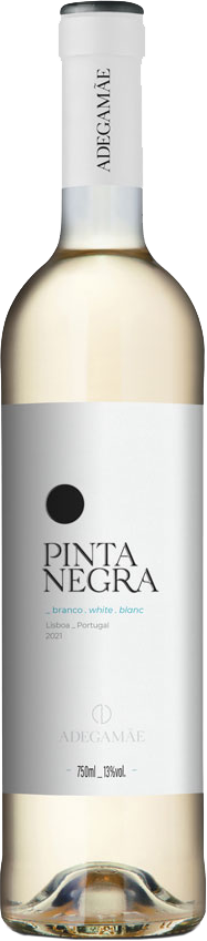 PINTA NEGRA branco white blanc